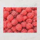 Recherche de framboise cartes postales Rouge