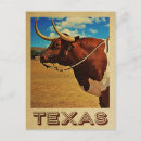 Suche nach ranch postkarten Texas