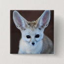 Suche nach kleiner fuchs buttons Füchse