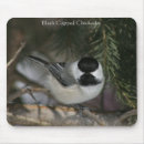 Recherche de branche pin tapis souris Oiseau