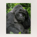 Recherche de argent puzzles Toute personne
