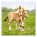 Recherche de folie posters Pour enfants