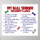 Suche nach pit bull poster Haustiere