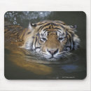 Suche nach tierköpfe mousepads Natur