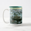 Suche nach frosch foto tassen Fotografie