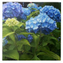 Suche nach hydrangea blume fliesen Keramikfliese