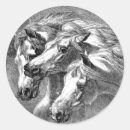 Recherche de le cheval arabe autocollants Animaux