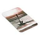 Recherche de planche magnets Mer