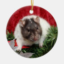 Suche nach ratte ornamente Rattie