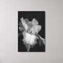 Suche nach iris leinwandbilder Botanisch