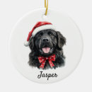Recherche de terre neuve ornements Dogs