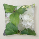 Recherche de usines coussins Plante
