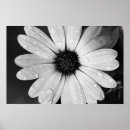 Suche nach african poster Fotografie