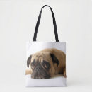 Suche nach traurige taschen Hund