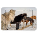 Recherche de équin magnets Amoureux des chevaux