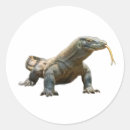 Suche nach komodo aufkleber Eidechse