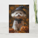 Recherche de bichons vœux cartes Bichon frisé