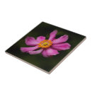 Suche nach anemone fliesen Rosa