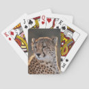 Recherche de mise jeux de cartes Superstock