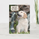 Recherche de tas vœux cartes Drôle