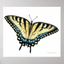 Suche nach lepidoptera poster Frack
