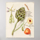 Suche nach vintage zitrone poster Obst
