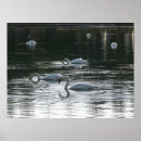 Suche nach flucht poster Wasser