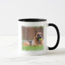 Suche nach hirte tassen Hund