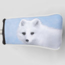Recherche de renard arctique Sauvage