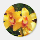 Recherche de orchidée magnets Tropical
