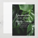 Suche nach palmblatt Palme