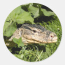 Recherche de papier de riz autocollants Lézard