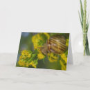 Suche nach macro karten Flower
