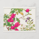 Recherche de bougainvillea cartes postales Floral
