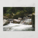 Recherche de amazonie cartes postales Nature