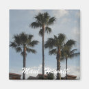 Suche nach kokosnuss magnete Insel