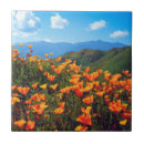 Recherche de californien carreaux Botanique