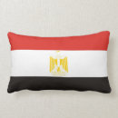 Recherche de l egypte coussins Drapeau