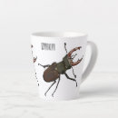 Recherche de scarabées tasses Coléoptère