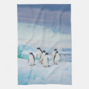 Suche nach pinguine geschirr tücher Schnee