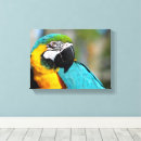 Suche nach ara kunst Vogel