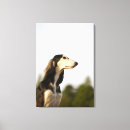 Suche nach saluki poster Profil