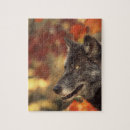 Suche nach wilde wölfe puzzle Herbst