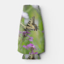 Recherche de machaon photographie Insecte
