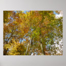 Recherche de foliage art Chute