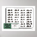 Recherche de ii posters Armée