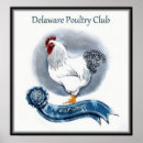 Suche nach poultry poster Geflügel