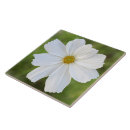 Suche nach decorative untersetzer Weiß