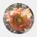 Suche nach peach magnete Orange