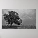 Recherche de chêne posters Arbre